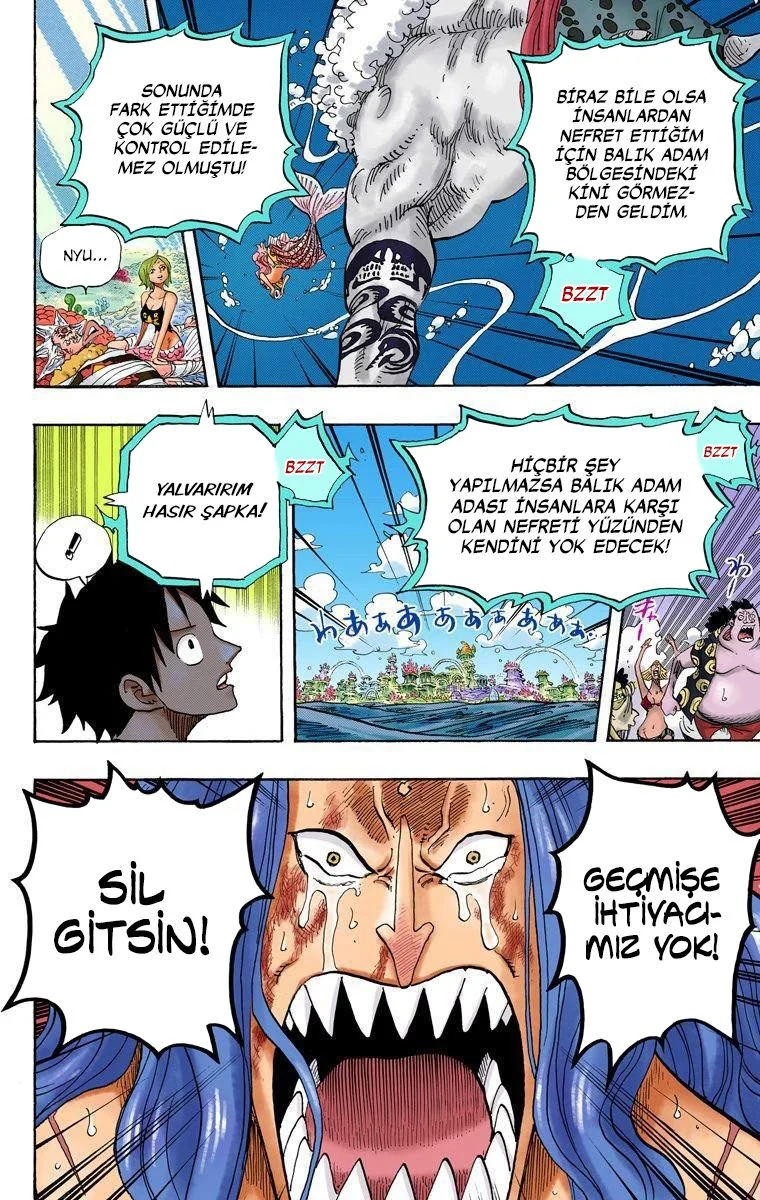 One Piece - Bölüm 644 - Sayfa 14
