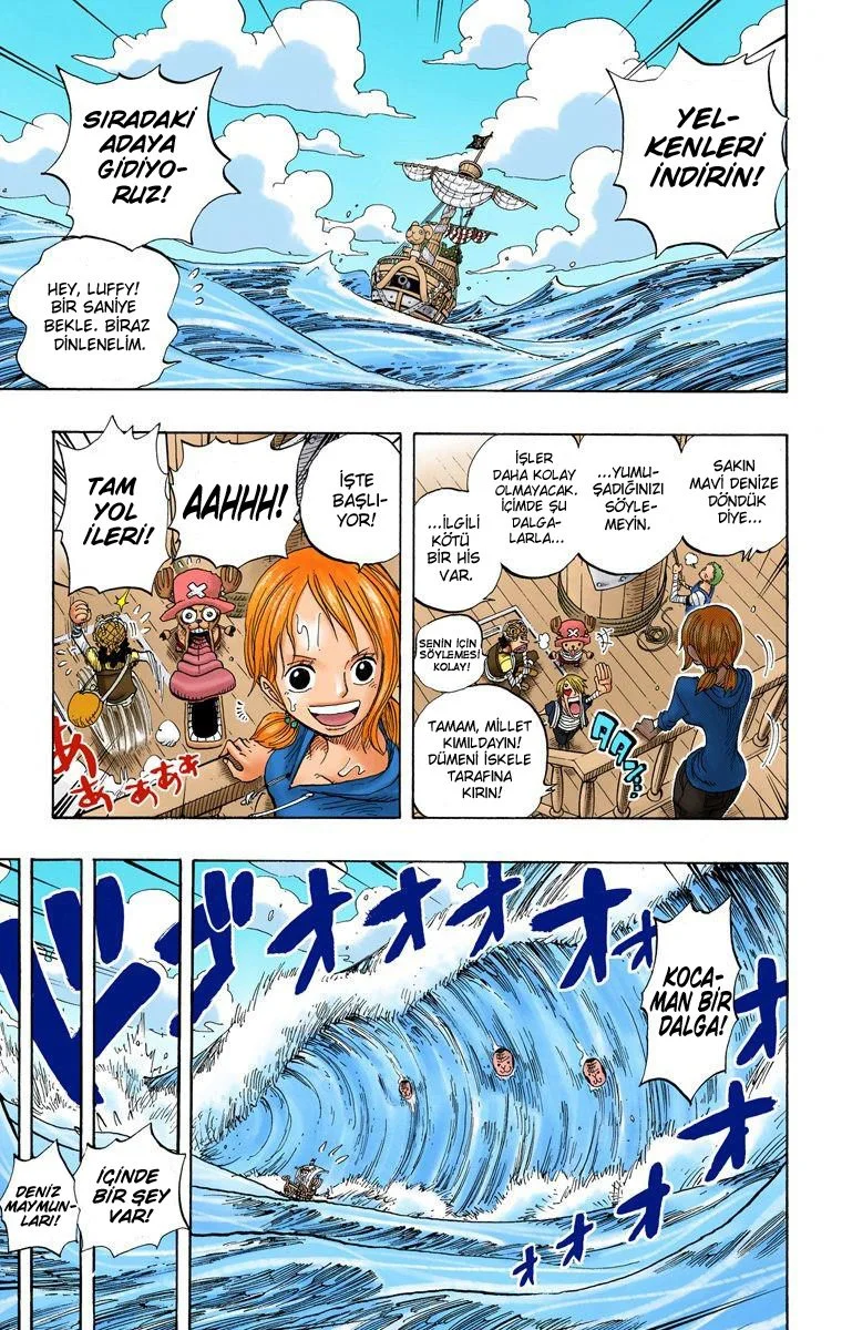 One Piece - Bölüm 303 - Sayfa 13