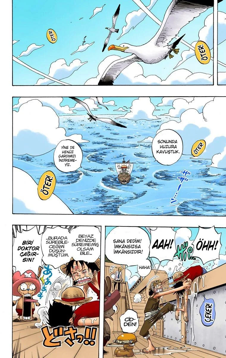 One Piece - Bölüm 303 - Sayfa 14