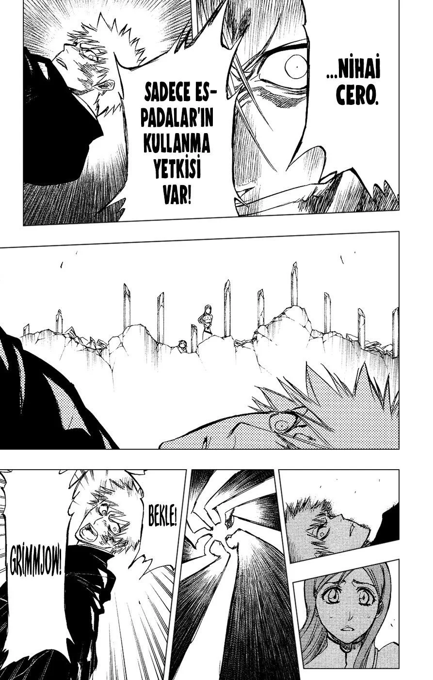 Bleach - Bölüm 280 - Sayfa 15