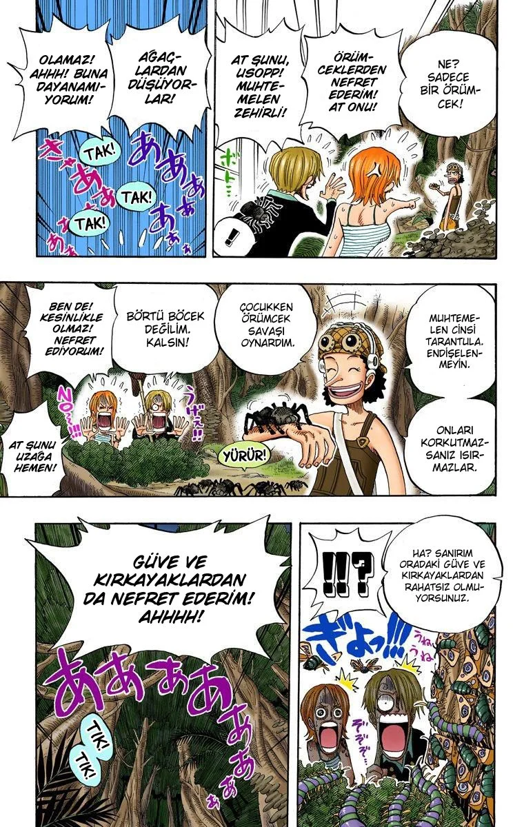 One Piece - Bölüm 230 - Sayfa 13