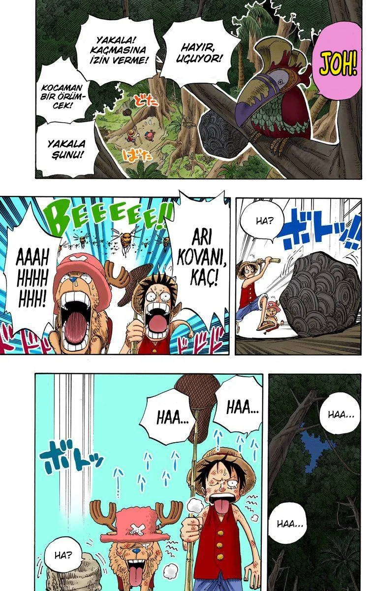 One Piece - Bölüm 230 - Sayfa 17