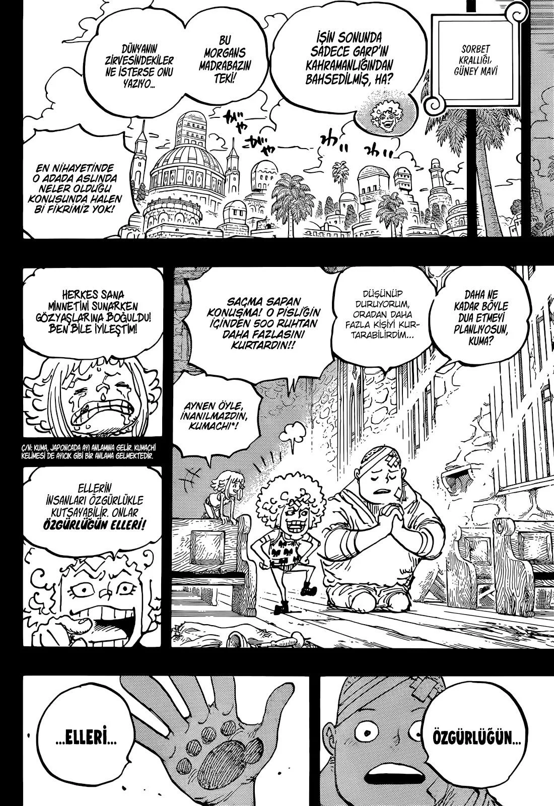 One Piece - Bölüm 1096 - Sayfa 12