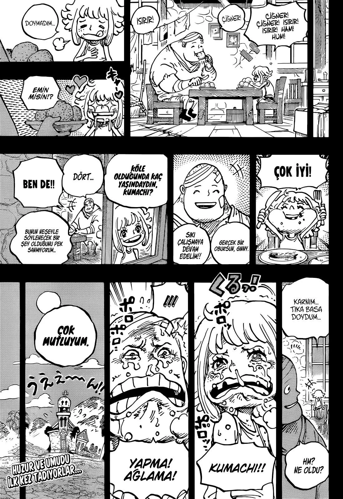 One Piece - Bölüm 1096 - Sayfa 15