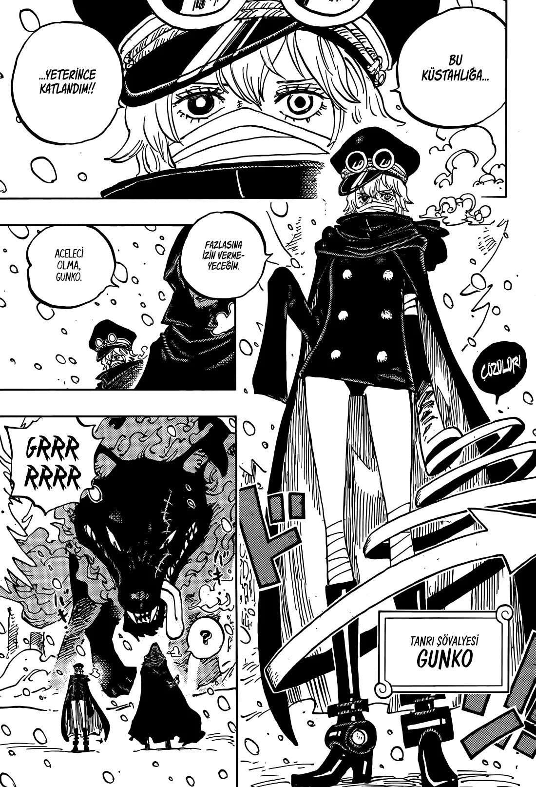 One Piece - Bölüm 1136 - Sayfa 16