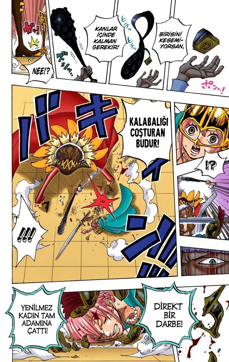 One Piece - Bölüm 739 - Sayfa 14
