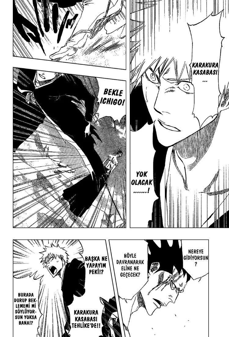 Bleach - Bölüm 314 - Sayfa 14
