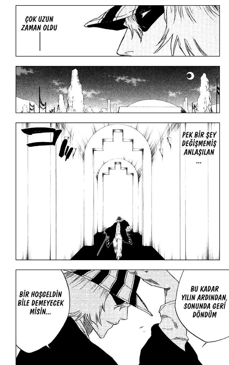 Bleach - Bölüm 314 - Sayfa 17