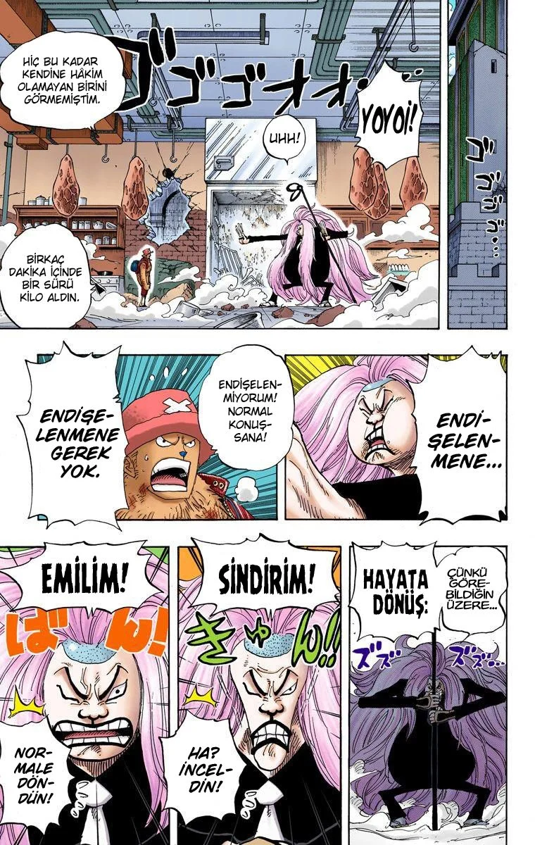 One Piece - Bölüm 406 - Sayfa 10