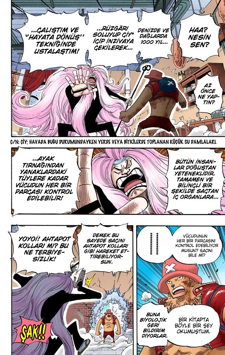 One Piece - Bölüm 406 - Sayfa 11