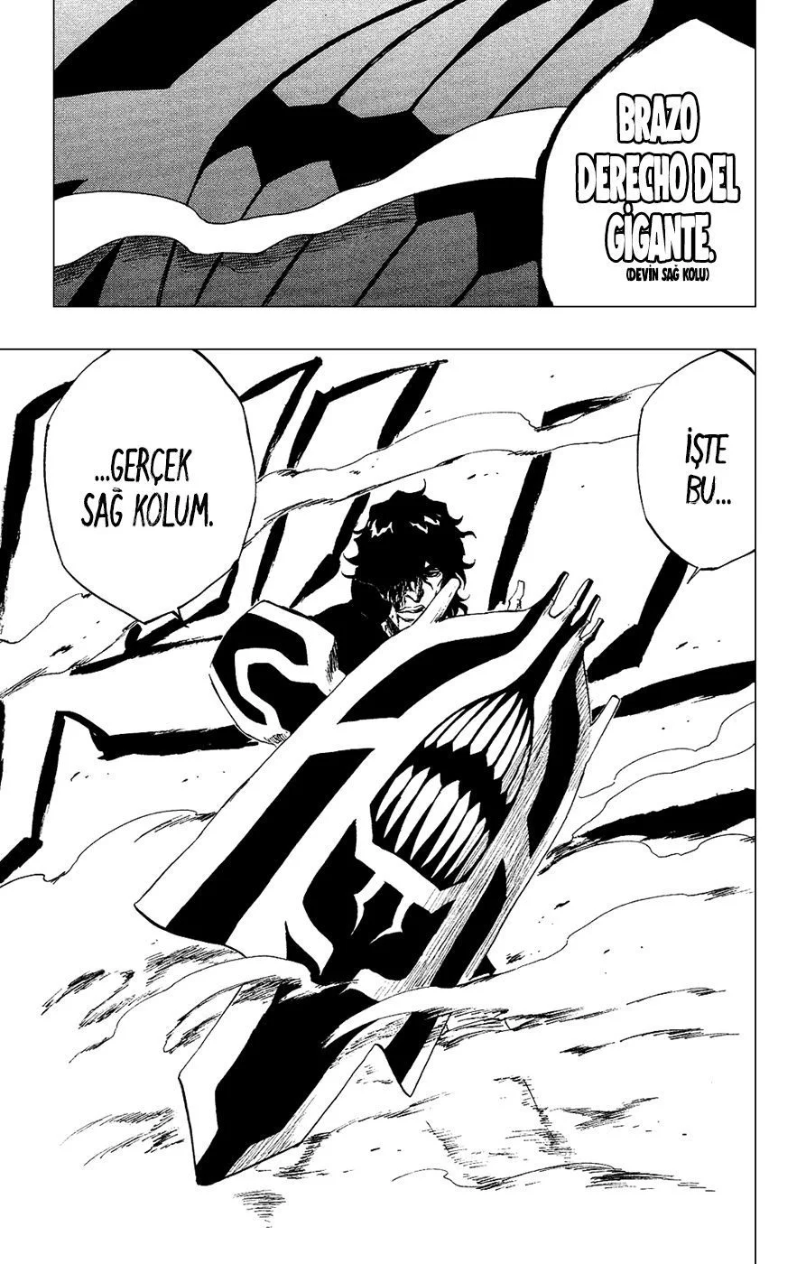 Bleach - Bölüm 259 - Sayfa 19