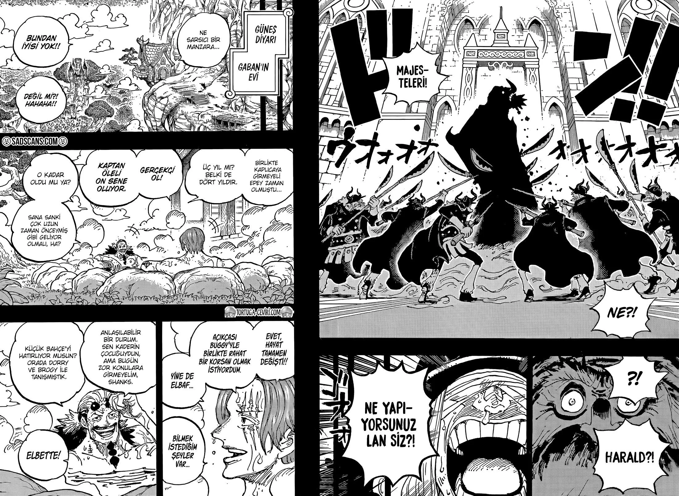 One Piece - Bölüm 1152 - Sayfa 13