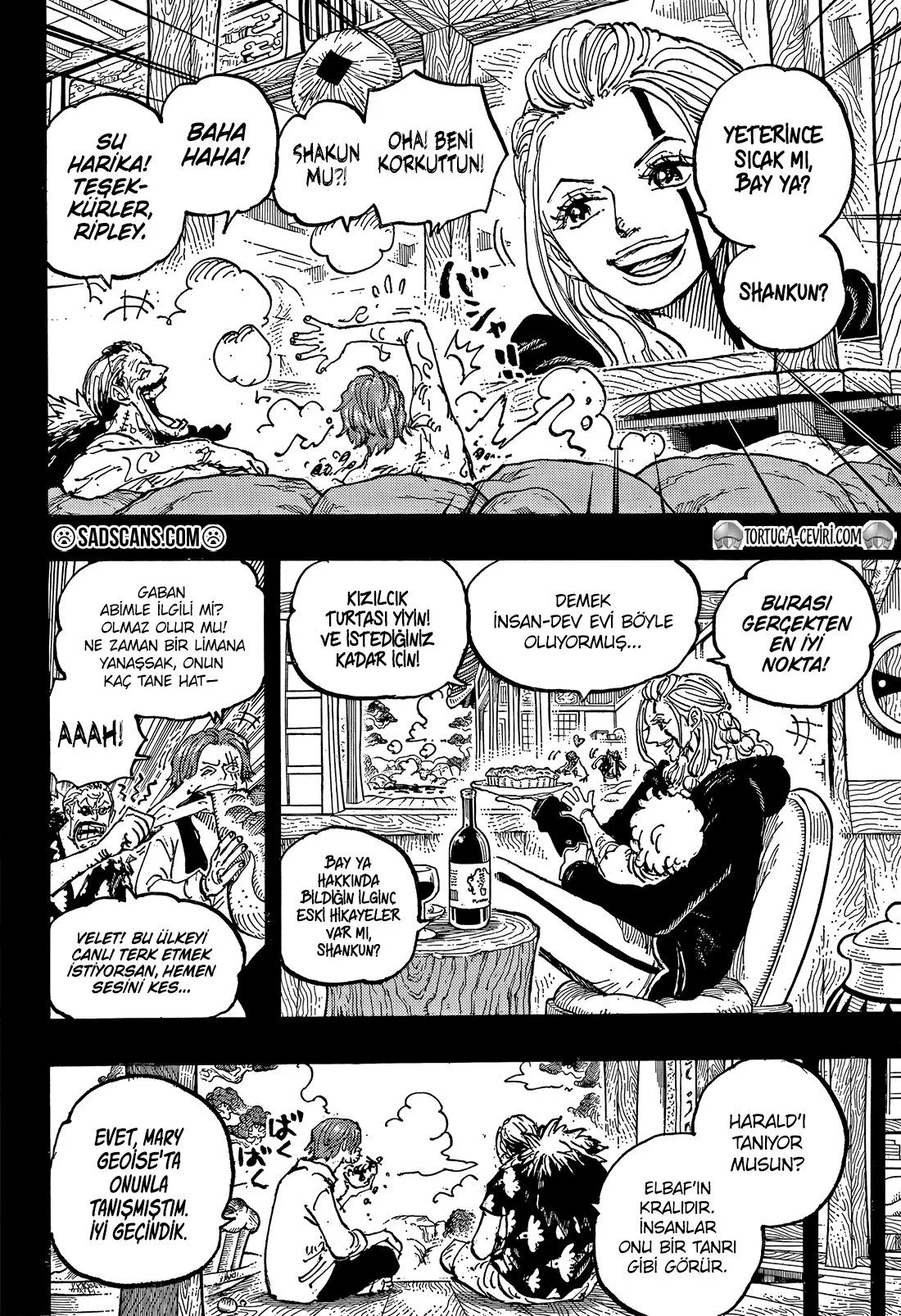 One Piece - Bölüm 1152 - Sayfa 14