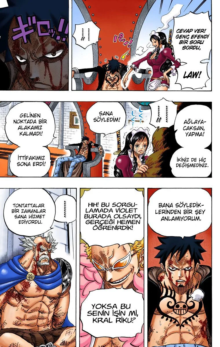 One Piece - Bölüm 740 - Sayfa 15