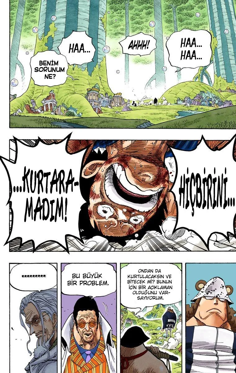 One Piece - Bölüm 513 - Sayfa 17