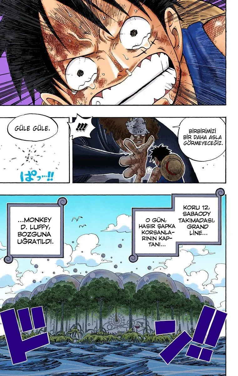 One Piece - Bölüm 513 - Sayfa 18