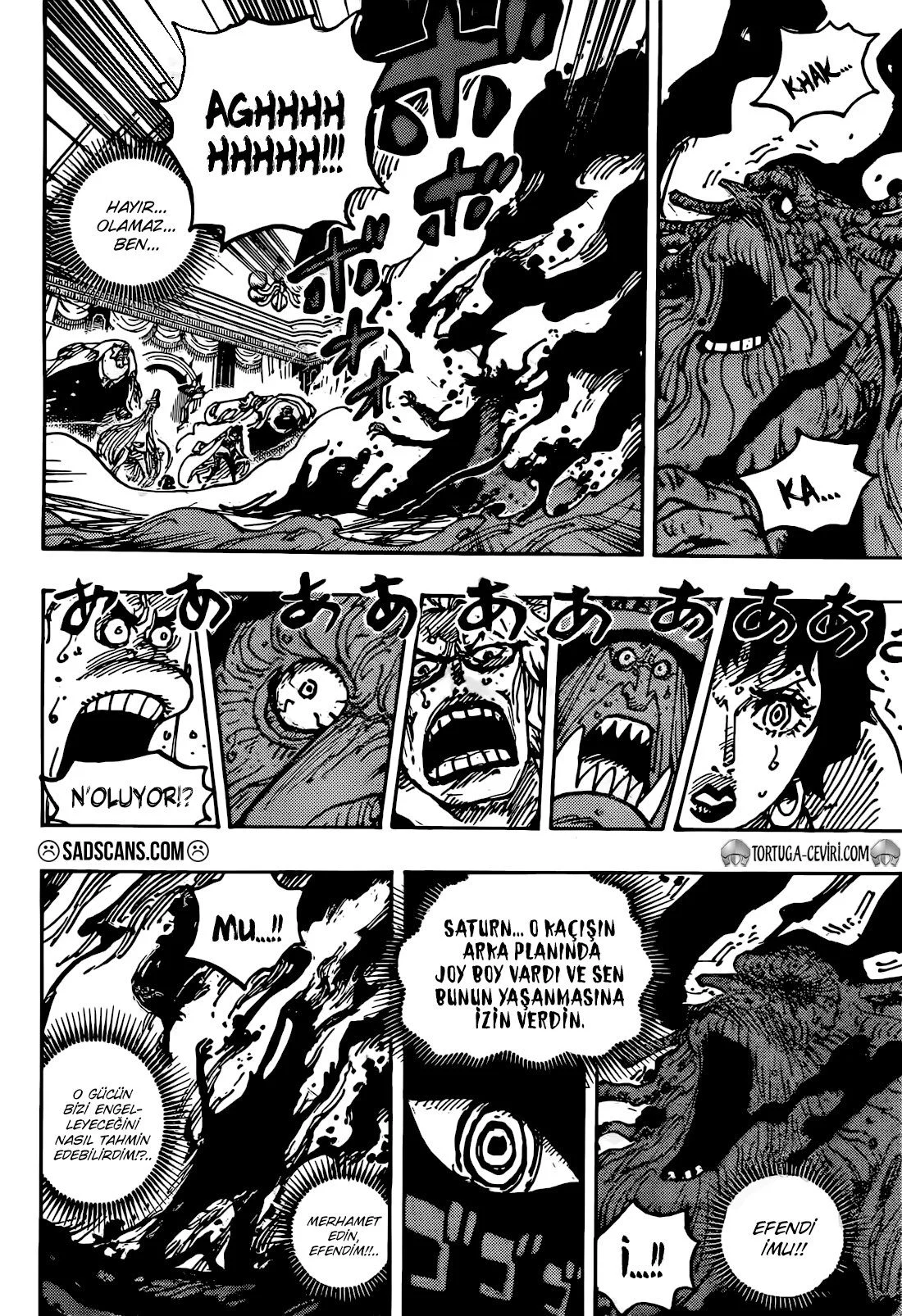 One Piece - Bölüm 1125 - Sayfa 13