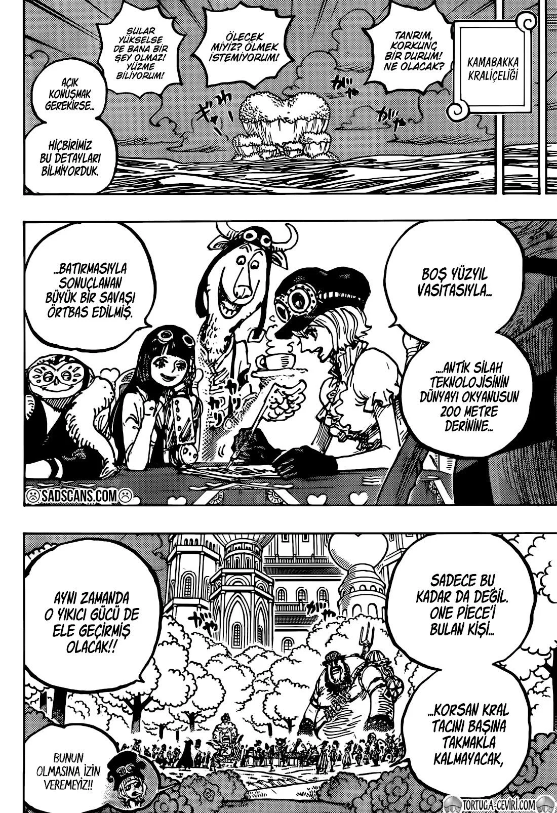 One Piece - Bölüm 1125 - Sayfa 16