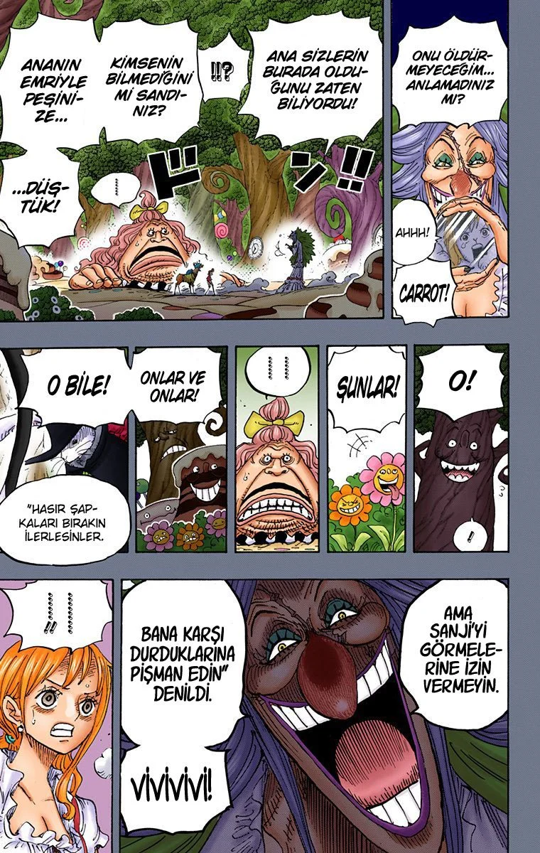 One Piece - Bölüm 835 - Sayfa 10