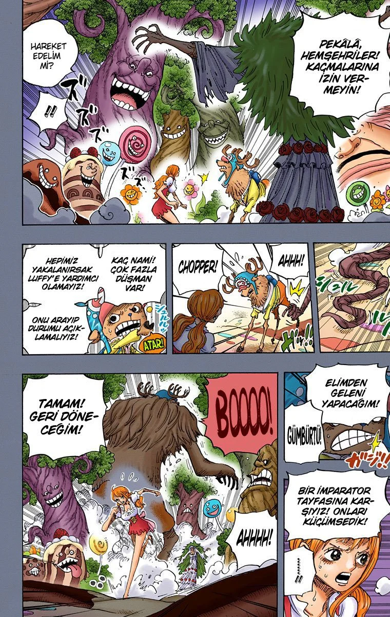 One Piece - Bölüm 835 - Sayfa 11