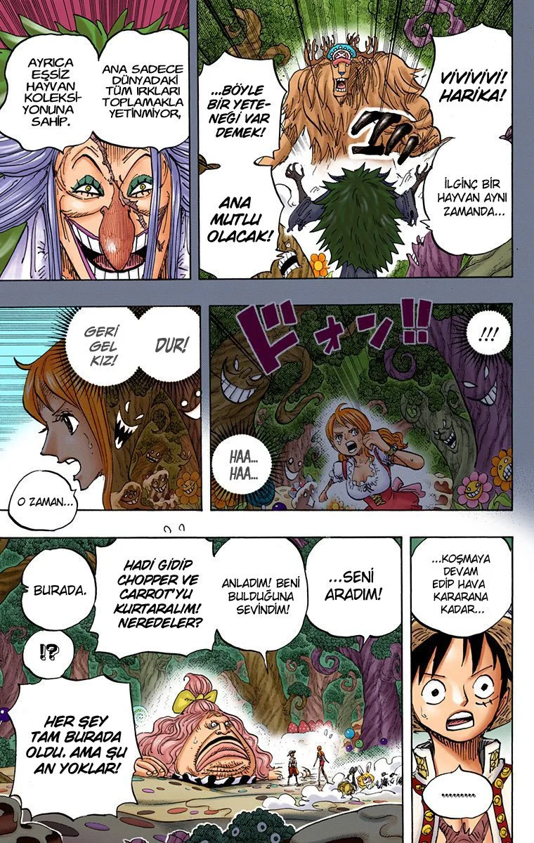 One Piece - Bölüm 835 - Sayfa 12