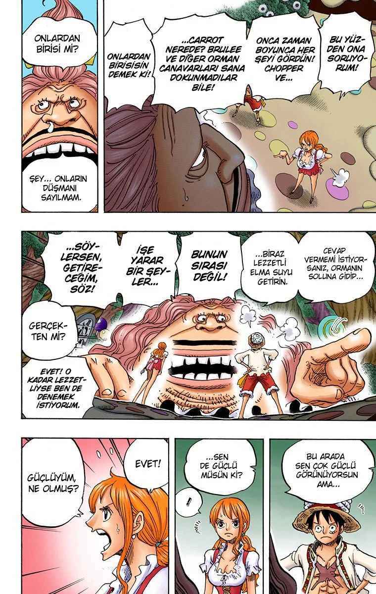 One Piece - Bölüm 835 - Sayfa 13