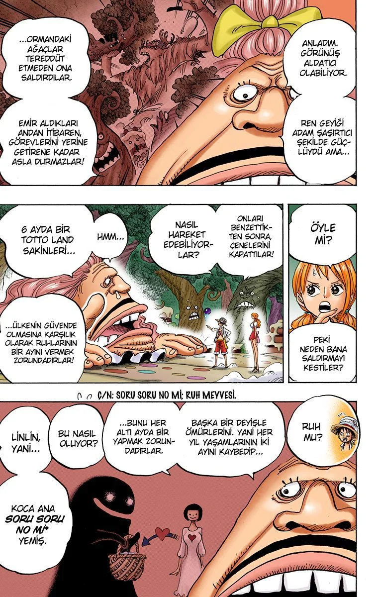 One Piece - Bölüm 835 - Sayfa 14