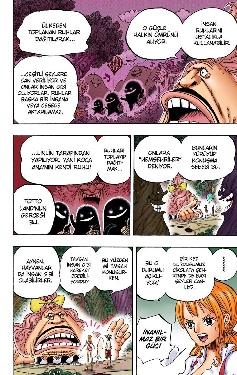One Piece - Bölüm 835 - Sayfa 15