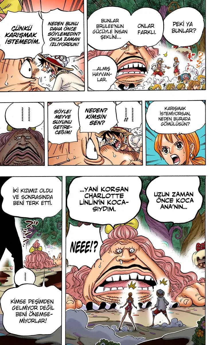 One Piece - Bölüm 835 - Sayfa 16