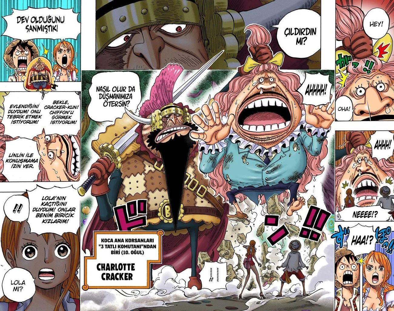 One Piece - Bölüm 835 - Sayfa 17