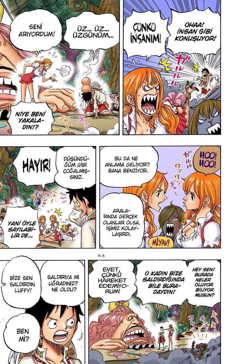 One Piece - Bölüm 835 - Sayfa 4