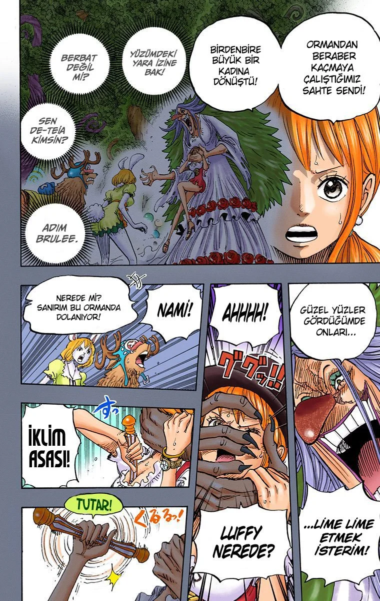 One Piece - Bölüm 835 - Sayfa 5