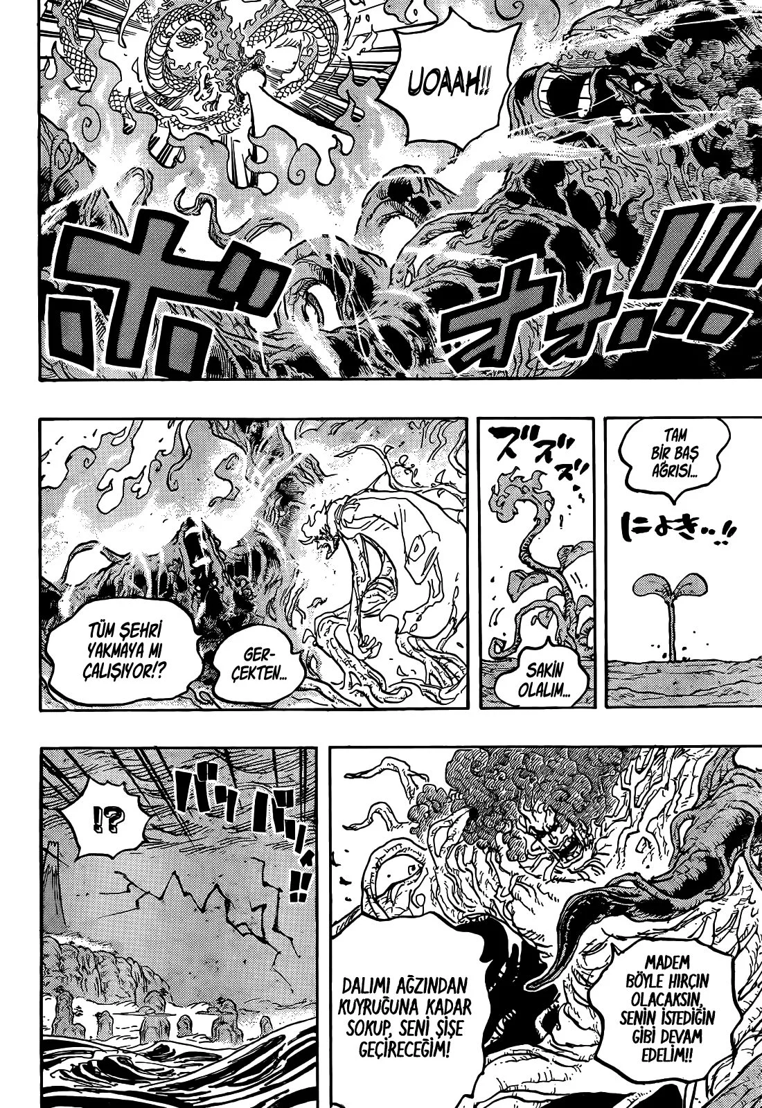 One Piece - Bölüm 1055 - Sayfa 15