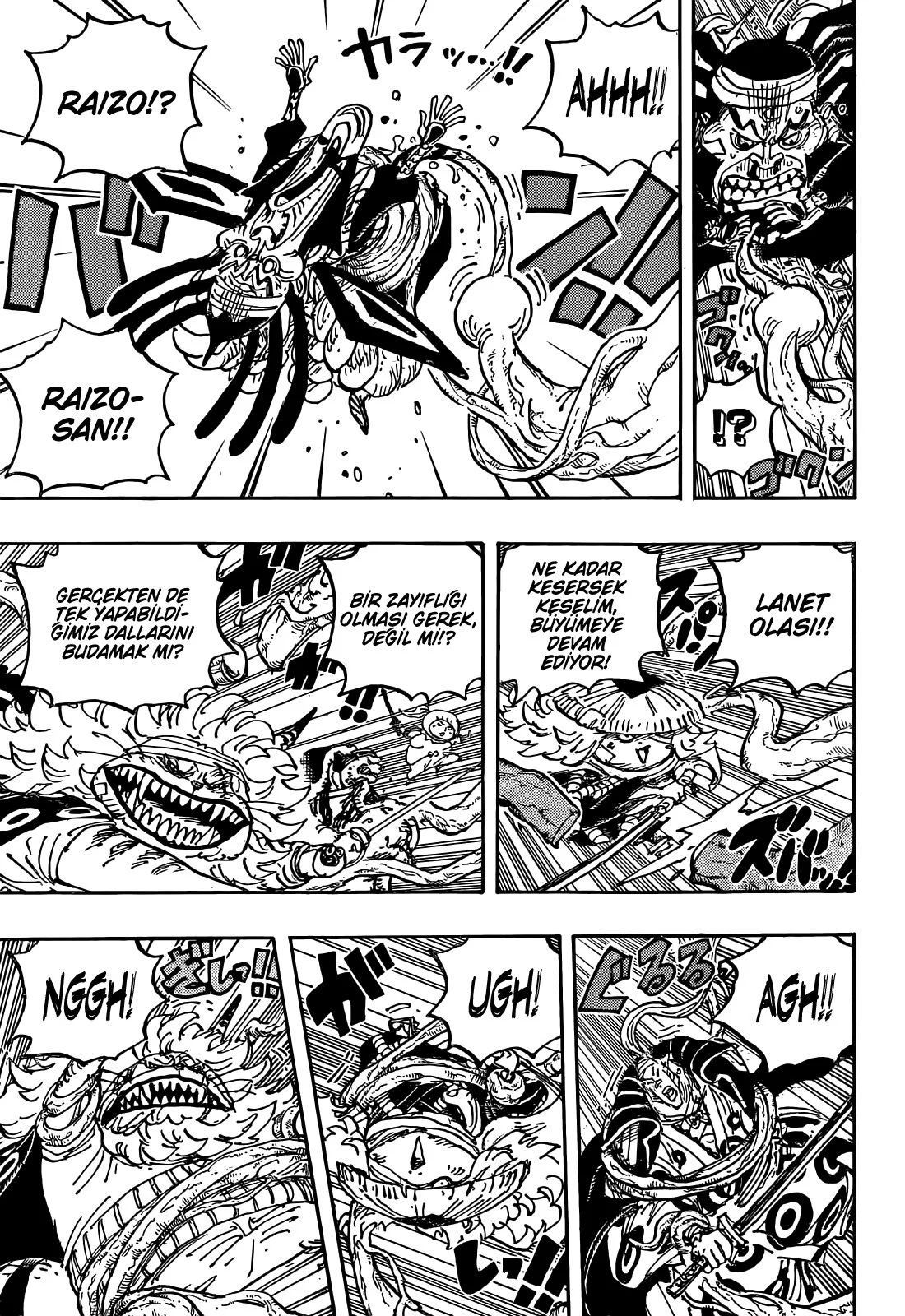 One Piece - Bölüm 1055 - Sayfa 6