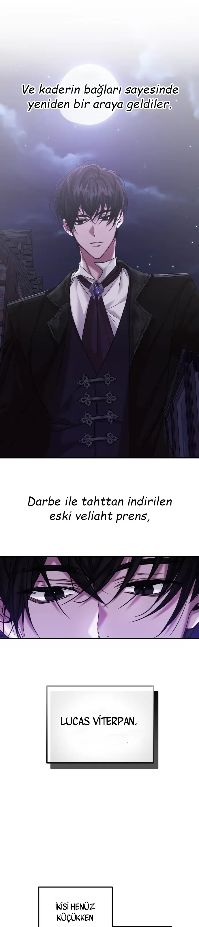 Marriage Alliance for Revenge - Bölüm 71 - Sayfa 10