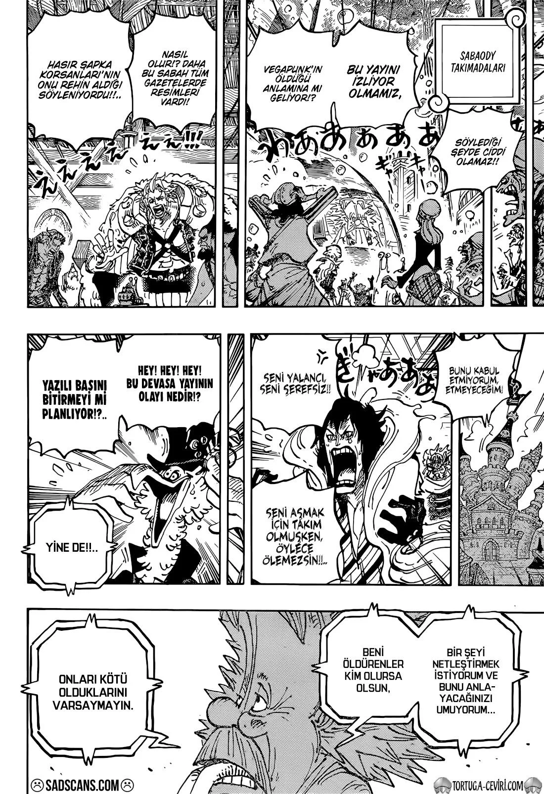 One Piece - Bölüm 1113 - Sayfa 13