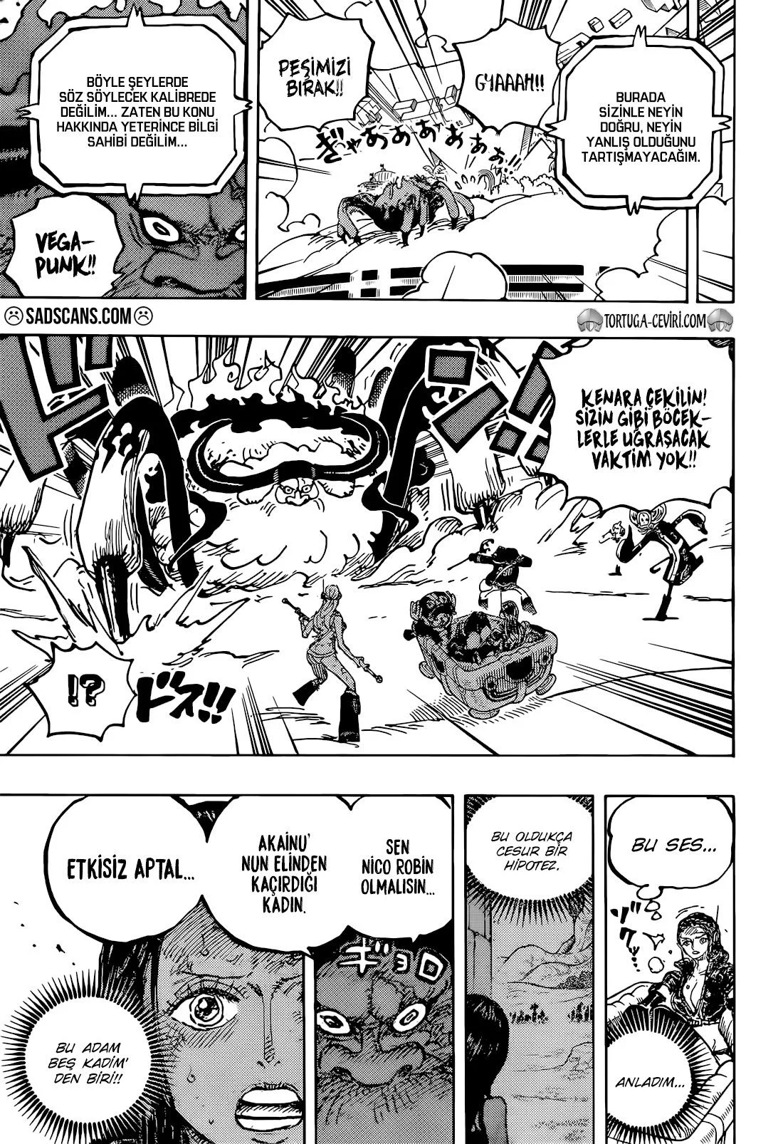 One Piece - Bölüm 1113 - Sayfa 14