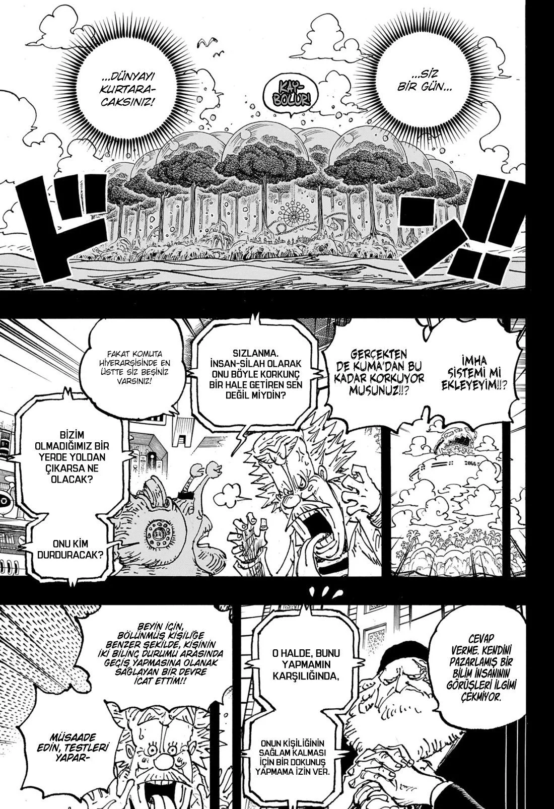 One Piece - Bölüm 1102 - Sayfa 12