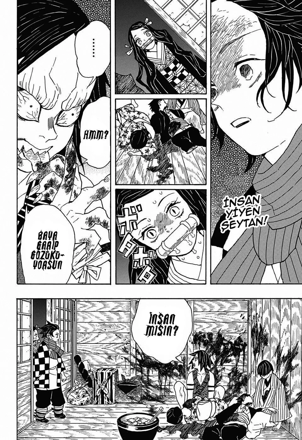 Demon Slayer: Kimetsu no Yaiba - Bölüm 2 - Sayfa 12