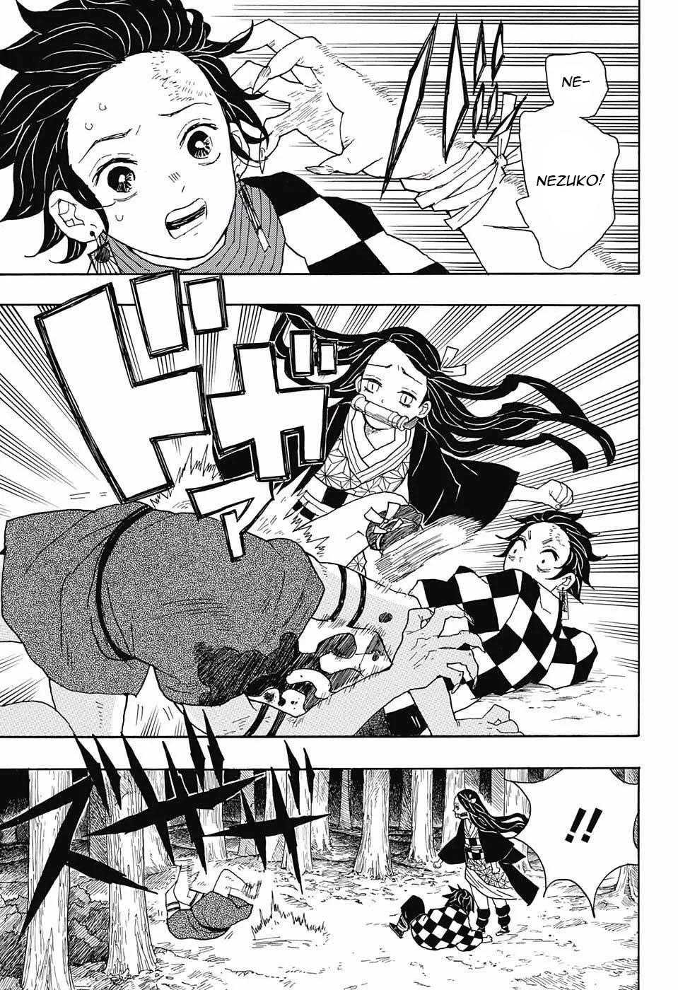 Demon Slayer: Kimetsu no Yaiba - Bölüm 2 - Sayfa 17