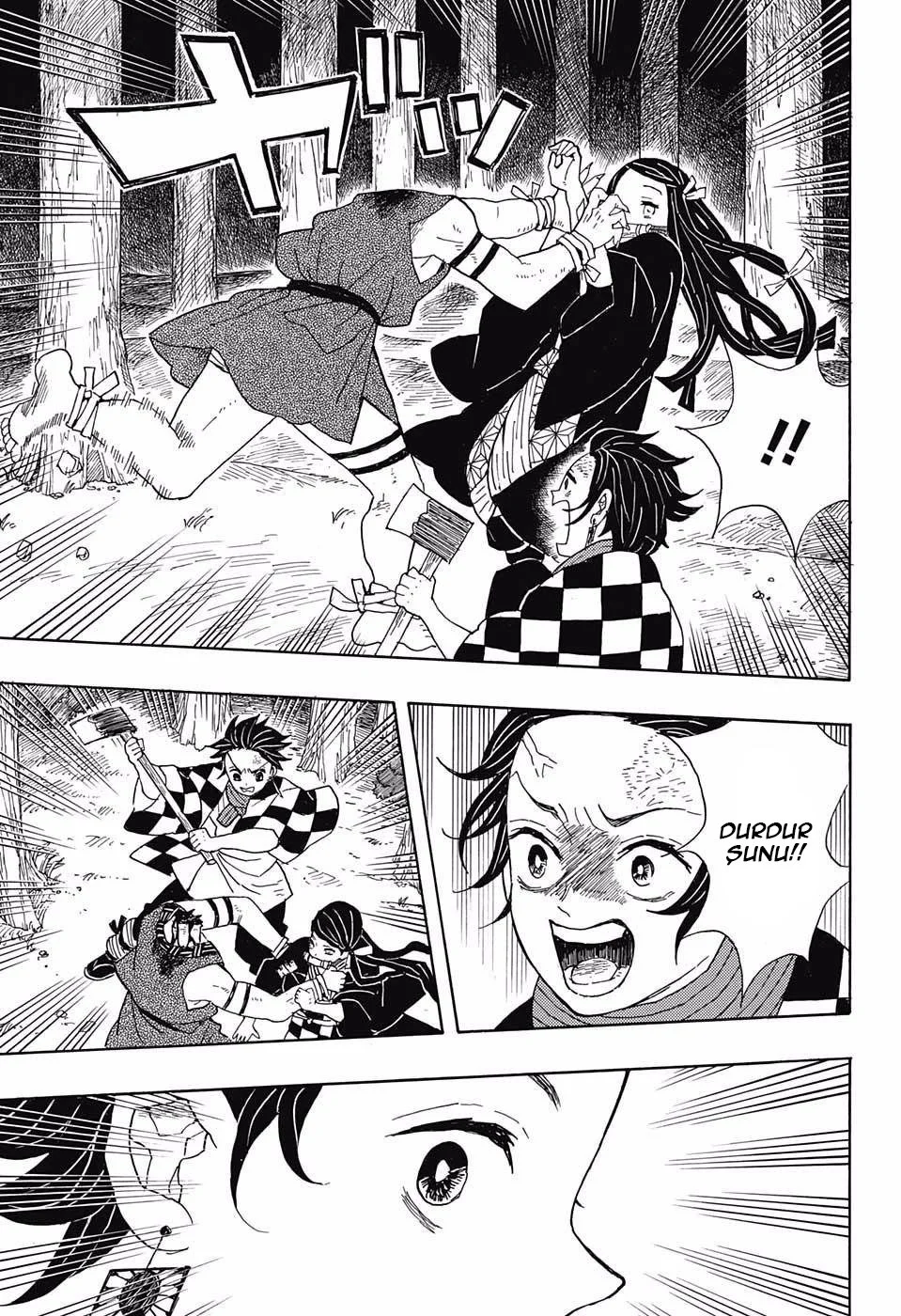 Demon Slayer: Kimetsu no Yaiba - Bölüm 2 - Sayfa 19