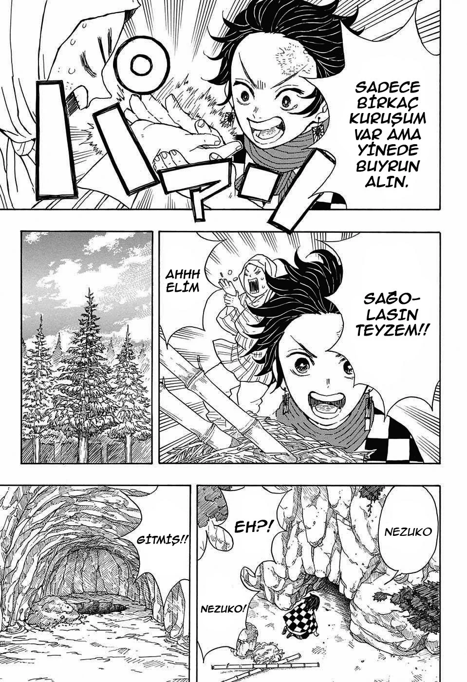Demon Slayer: Kimetsu no Yaiba - Bölüm 2 - Sayfa 4
